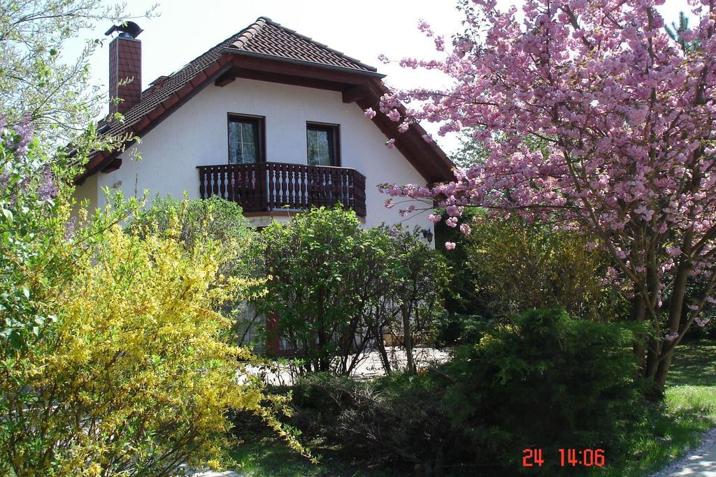 Ferienhaus "Werrablick-Frankenroda" ภายนอก รูปภาพ